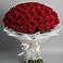 Букет 101 Красная роза Блэк Мэджик в Лесном Рязанской области