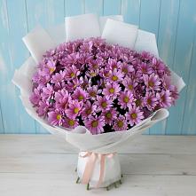 Букет цветов из:  Хризантемы в Лесном Рязанской области