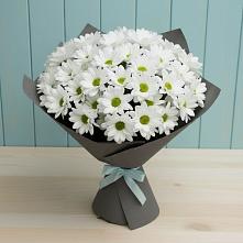 Букет цветов из:  Хризантемы в Лесном Рязанской области