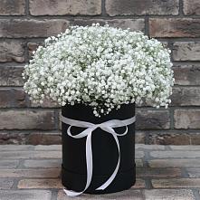 Цветочная композиция из Гипсофила в шляпной коробке в Лесном Рязанской области