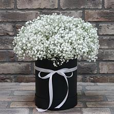 Цветочная композиция из Гипсофила в шляпной коробке в Лесном Рязанской области