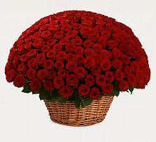 Премиум букет из: Розы в Лесном Рязанской области